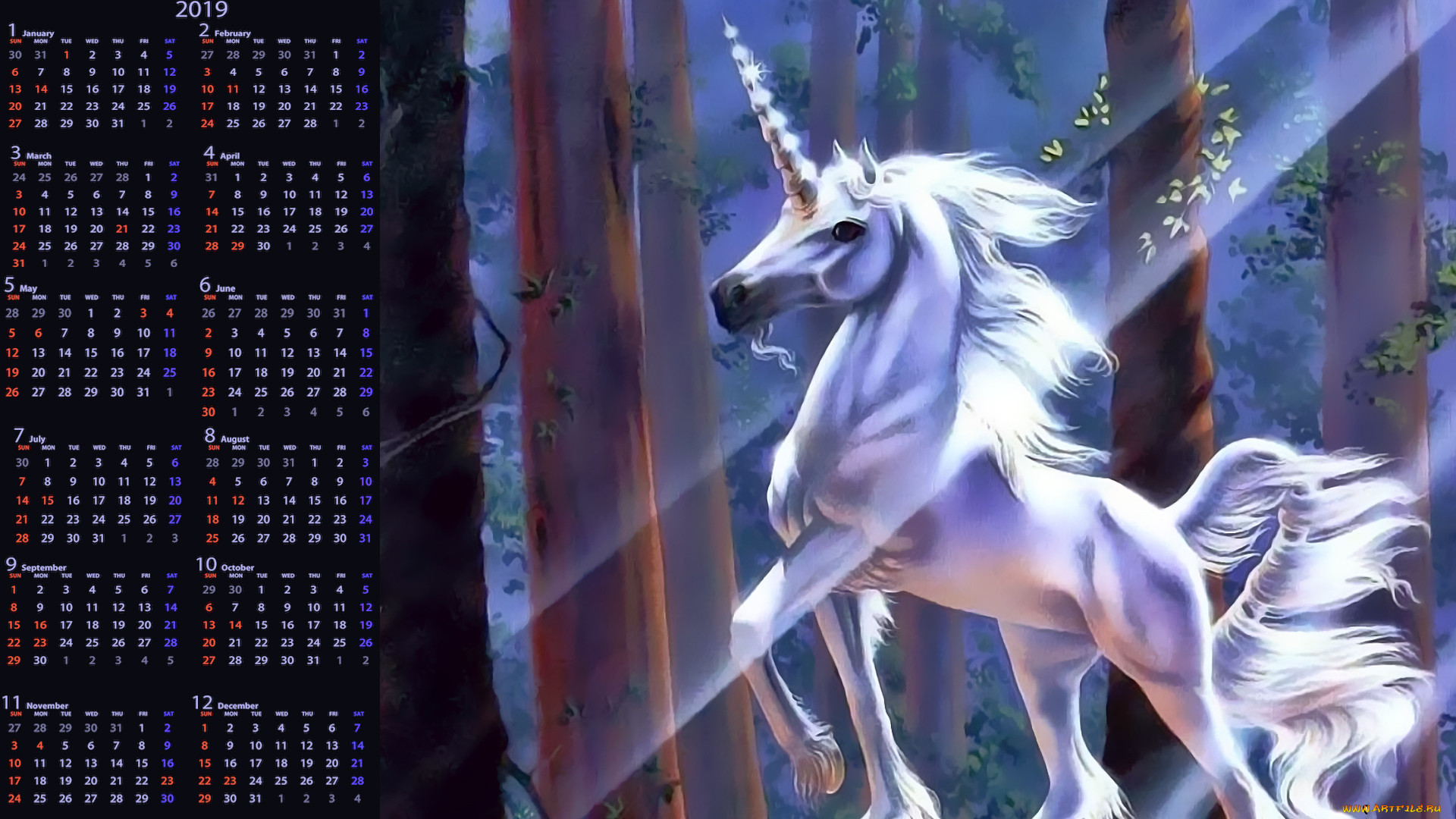 Единорог картинка. Единорог. Красивые Единороги. Белый Единорог. Конь Единорог.